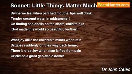 Dr John Celes - Sonnet: Little Things Matter Much