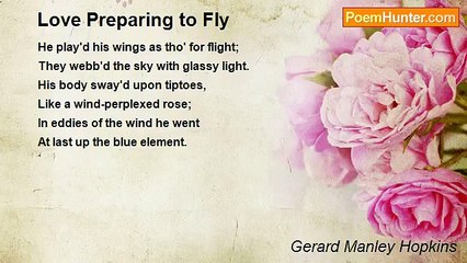 Gerard Manley Hopkins - Love Preparing to Fly