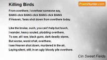 Cin Sweet Fields - Killing Birds