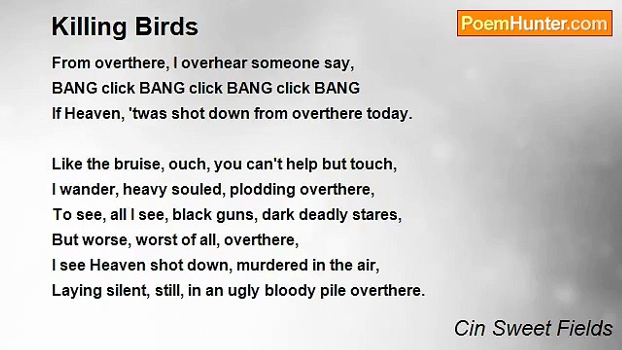 Cin Sweet Fields - Killing Birds
