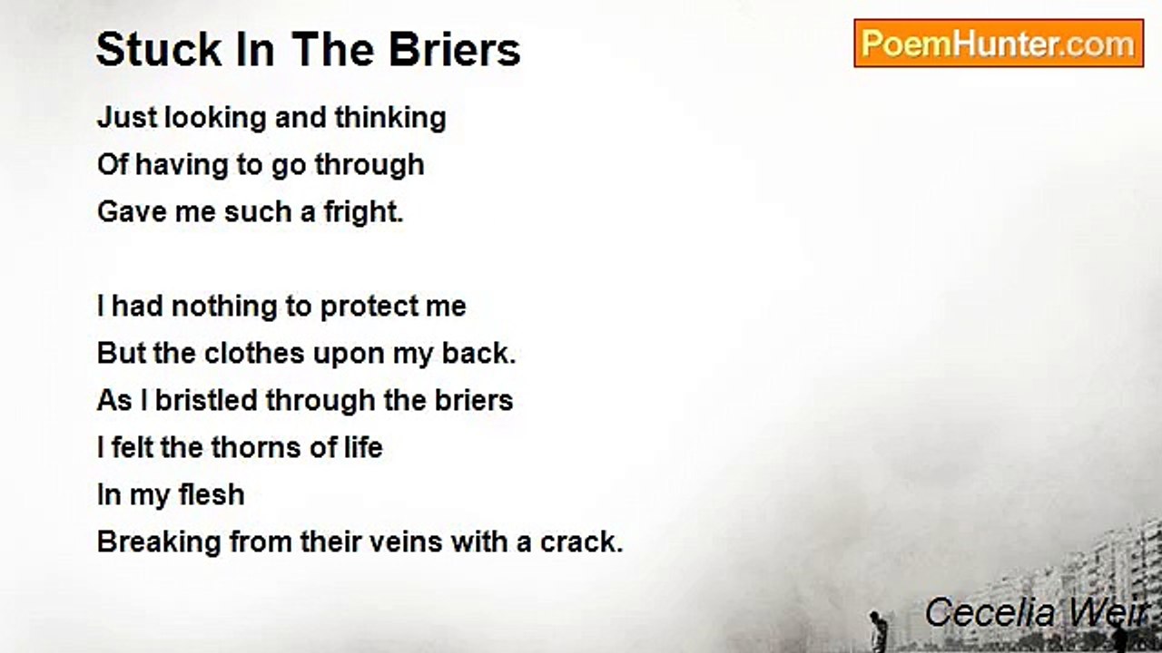 Cecelia Weir - Stuck In The Briers
