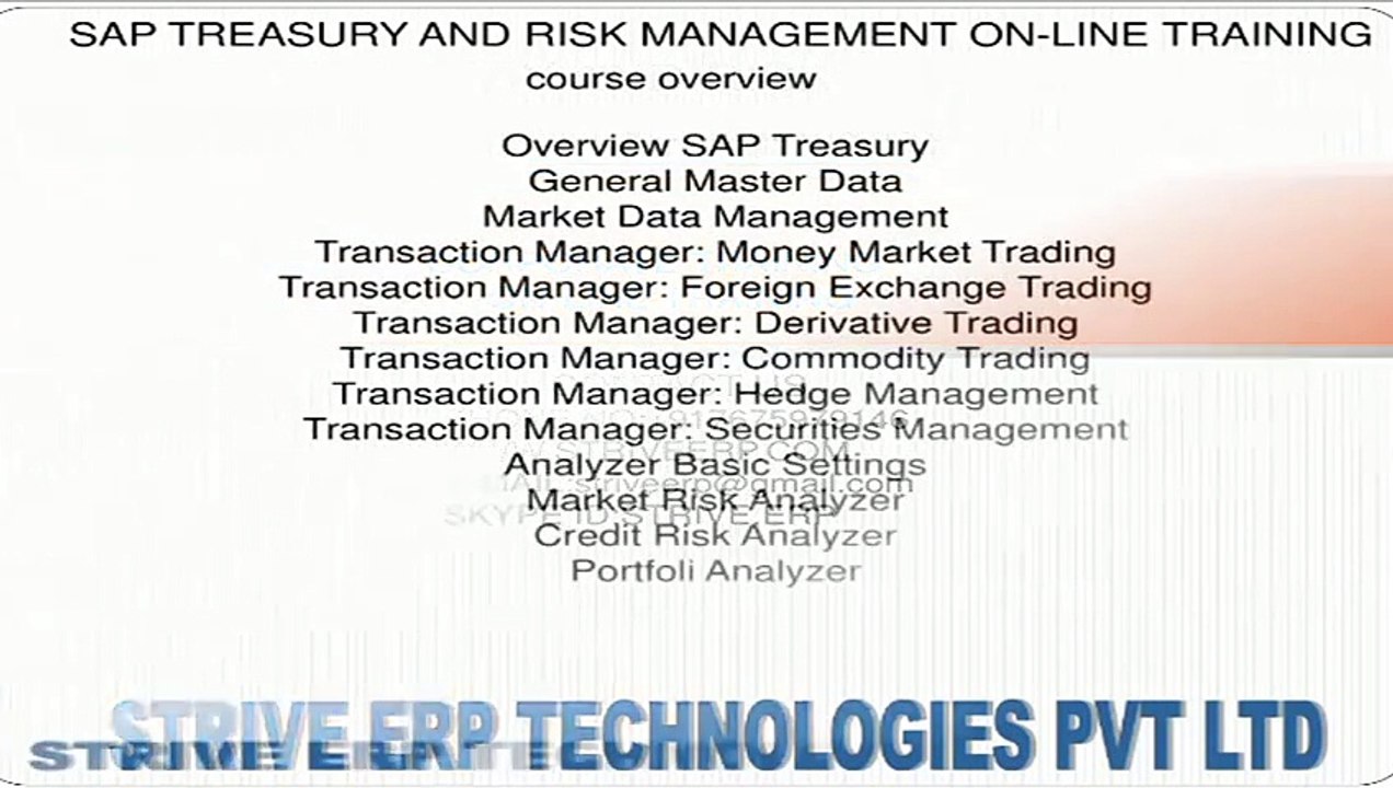 SAP TREASURY & RISK MANAGEMENT ONLINE TRAINING - STRIVE ERP_com