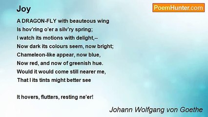 Johann Wolfgang von Goethe - Joy