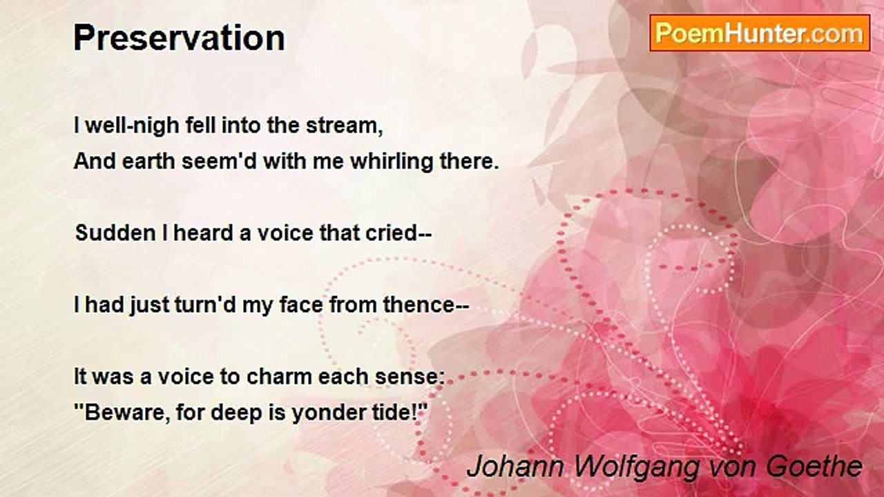 Johann Wolfgang von Goethe - Preservation