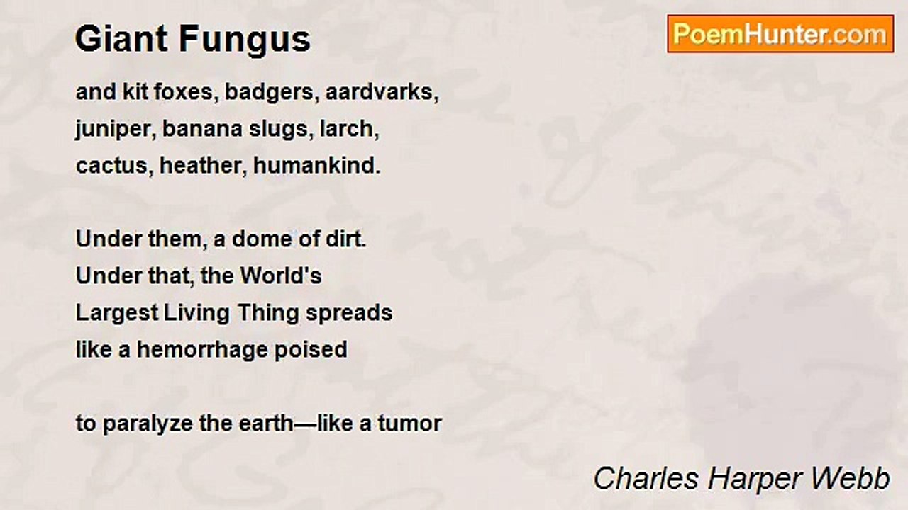 Charles Harper Webb - Giant Fungus
