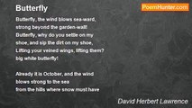 David Herbert Lawrence - Butterfly