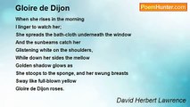 David Herbert Lawrence - Gloire de Dijon