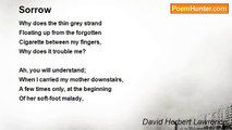 David Herbert Lawrence - Sorrow