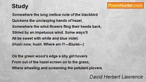 David Herbert Lawrence - Study