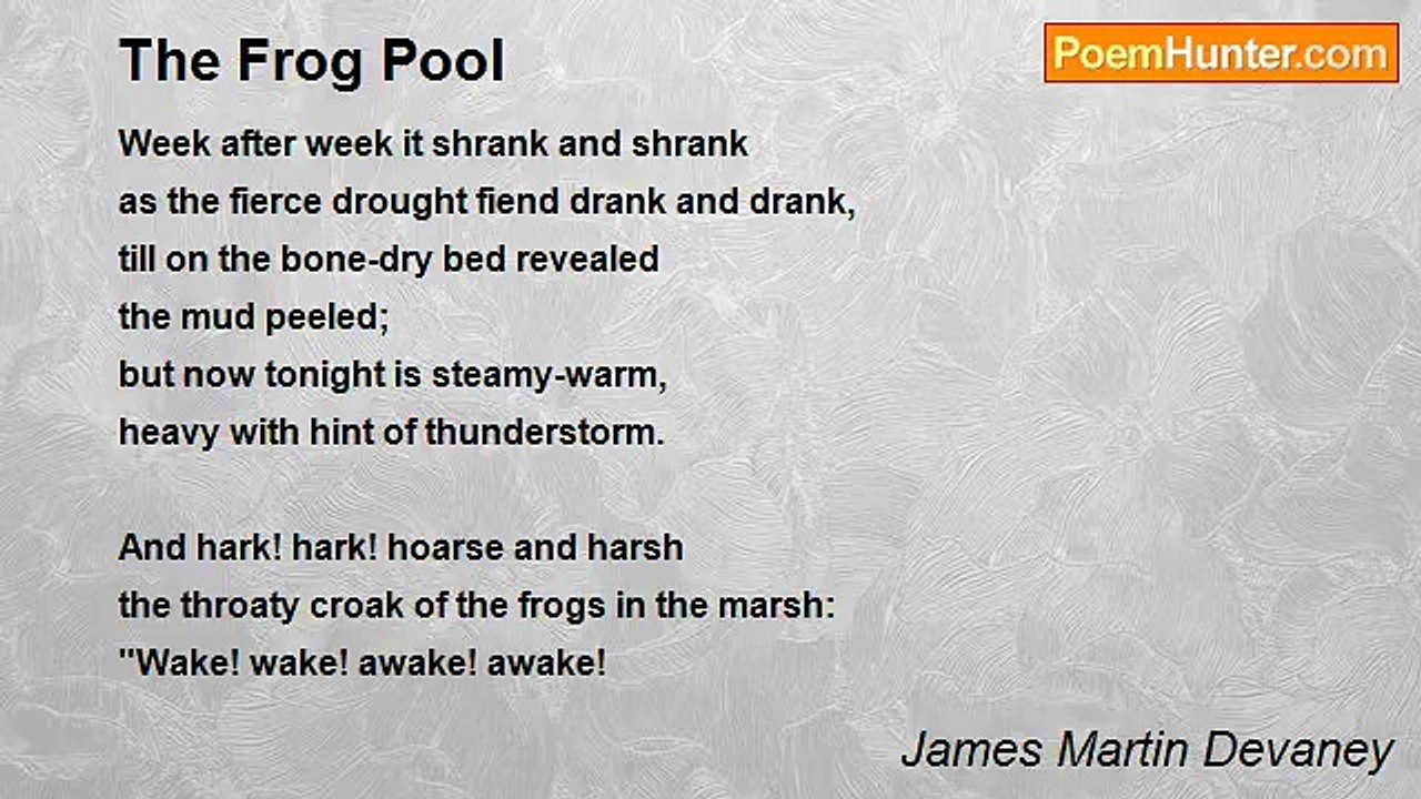 James Martin Devaney - The Frog Pool