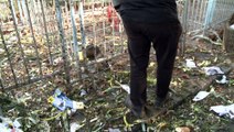 Ragondins maltraités à Nantes : les agriculteurs en colère dérapent