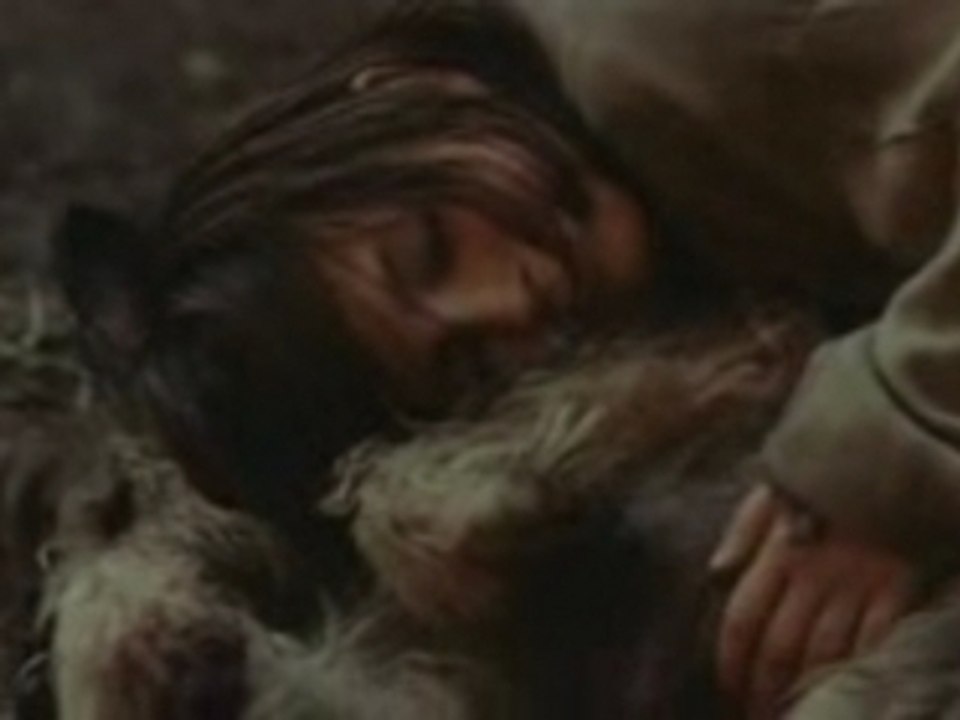 Jacquou le croquant FRENCH DVDSCR-sample