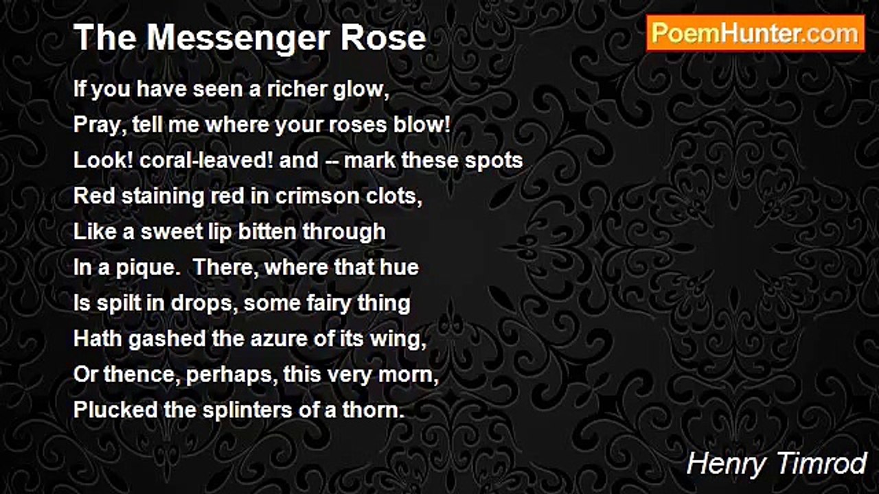 Henry Timrod - The Messenger Rose