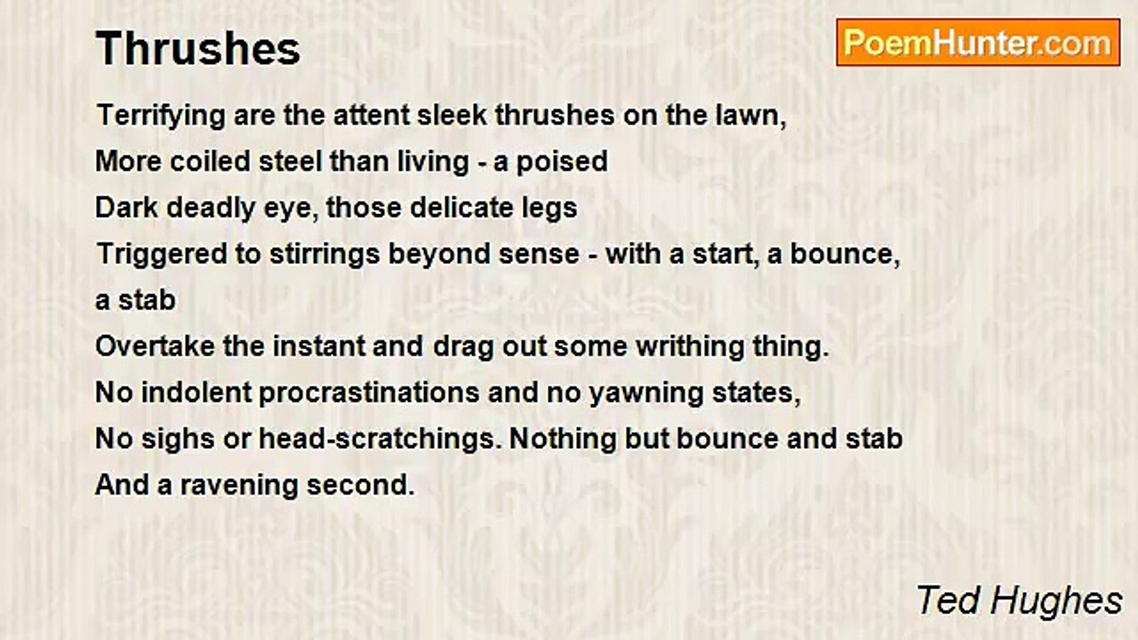 Ted Hughes - Thrushes
