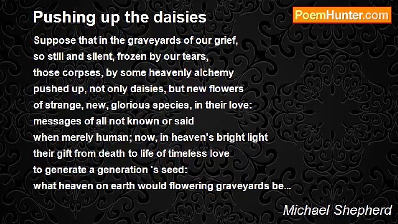 Michael Shepherd - Pushing up the daisies