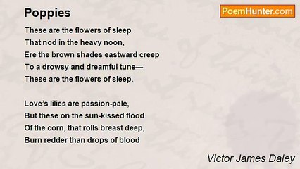 Victor James Daley - Poppies