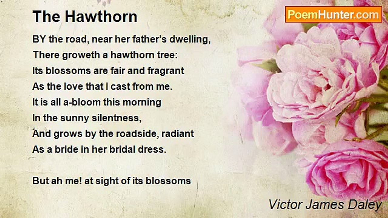 Victor James Daley - The Hawthorn