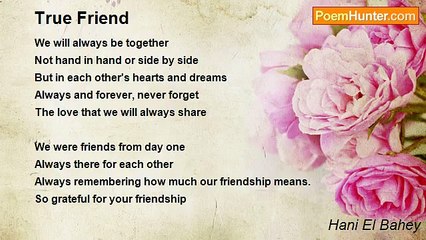Hani El Bahey - True Friend