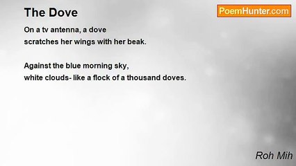 Roh Mih - The Dove