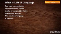 David Keig - What Is Left of Language