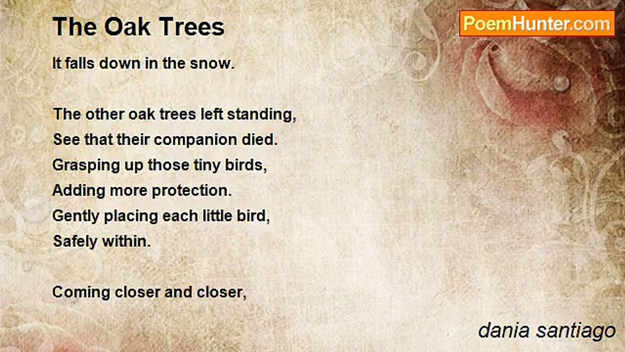 dania santiago - The Oak Trees