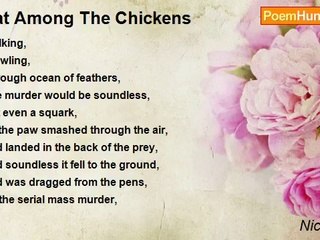 Nick Hilton - Cat Among The Chickens