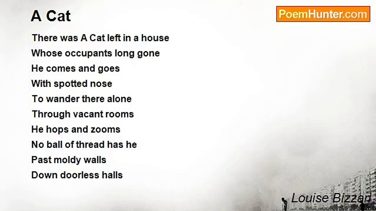 Louise Bizzari - A Cat