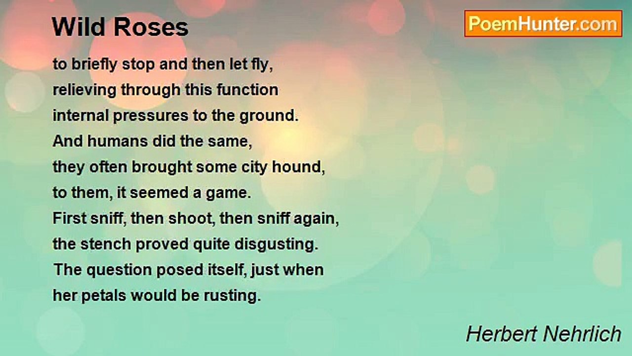 Herbert Nehrlich - Wild Roses