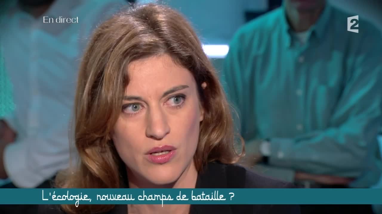 L'écologie, nouveau champ de bataille ? (2/5) - Ce soir (ou jamais!) - 31/10/14