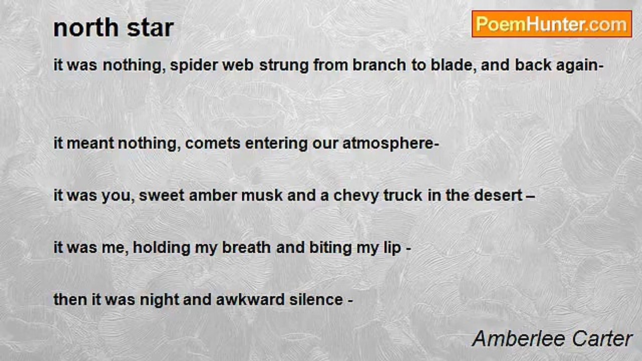 Amberlee Carter - north star