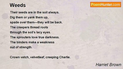 Harriet Brown - Weeds