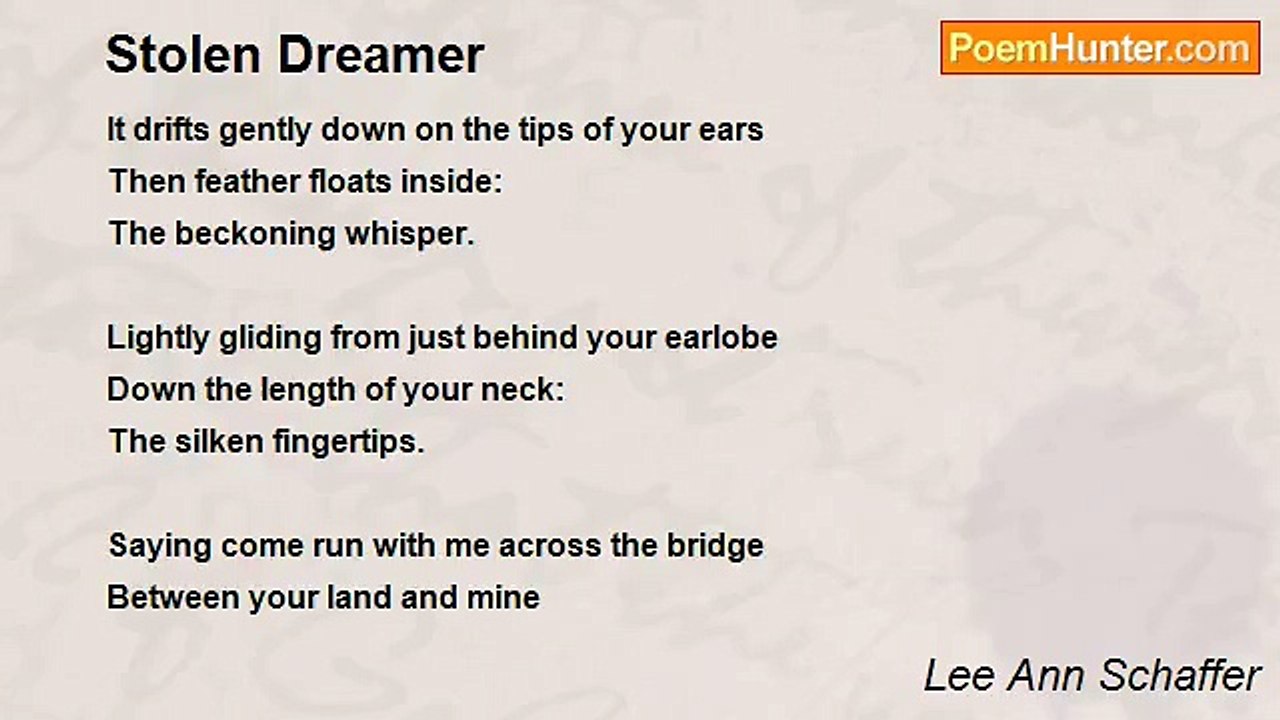 Lee Ann Schaffer - Stolen Dreamer