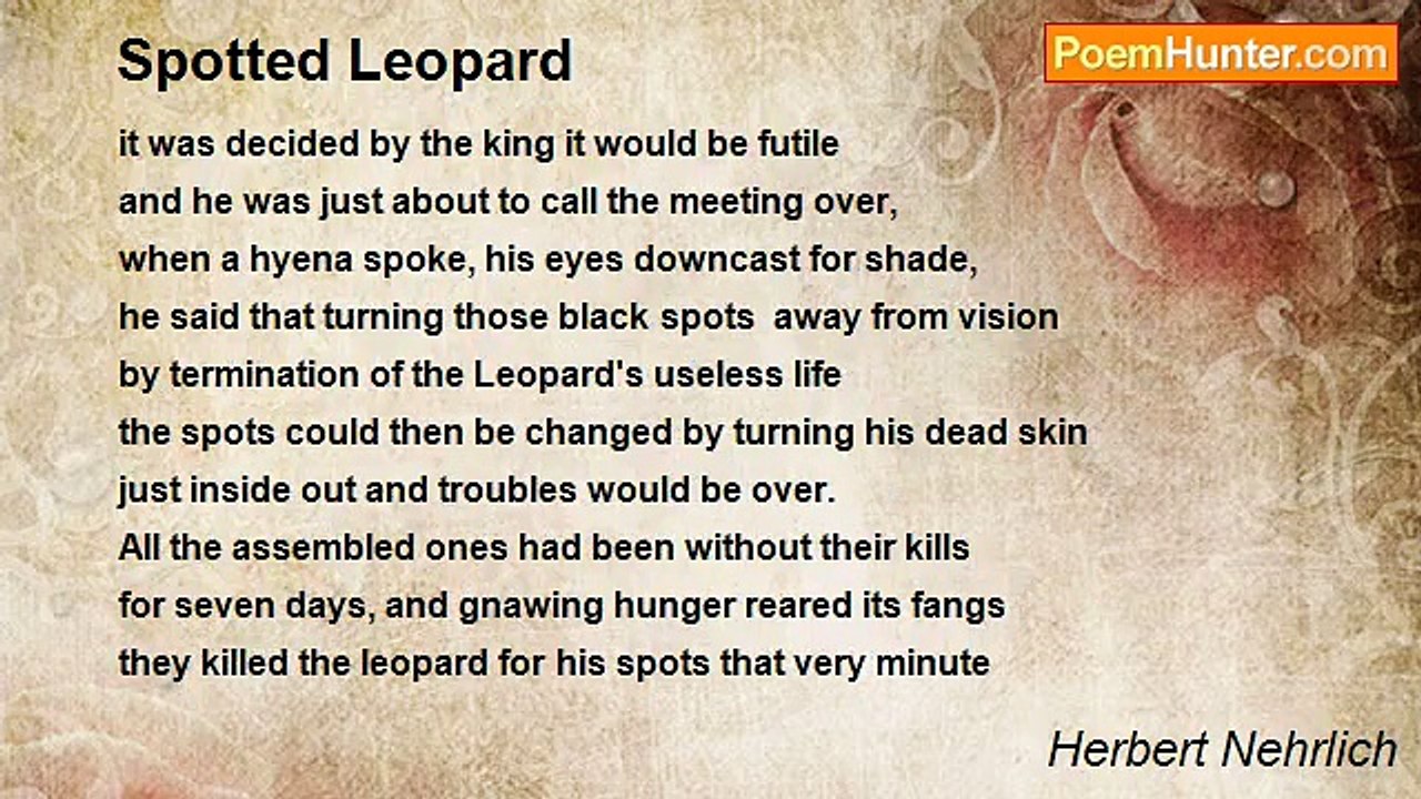 Herbert Nehrlich - Spotted Leopard