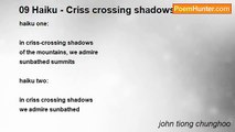 john tiong chunghoo - 09 Haiku - Criss crossing shadows