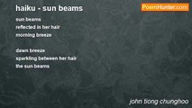 john tiong chunghoo - haiku - sun beams