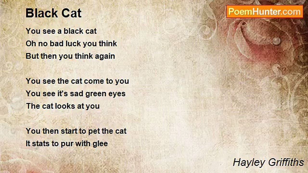 Hayley Griffiths - Black Cat
