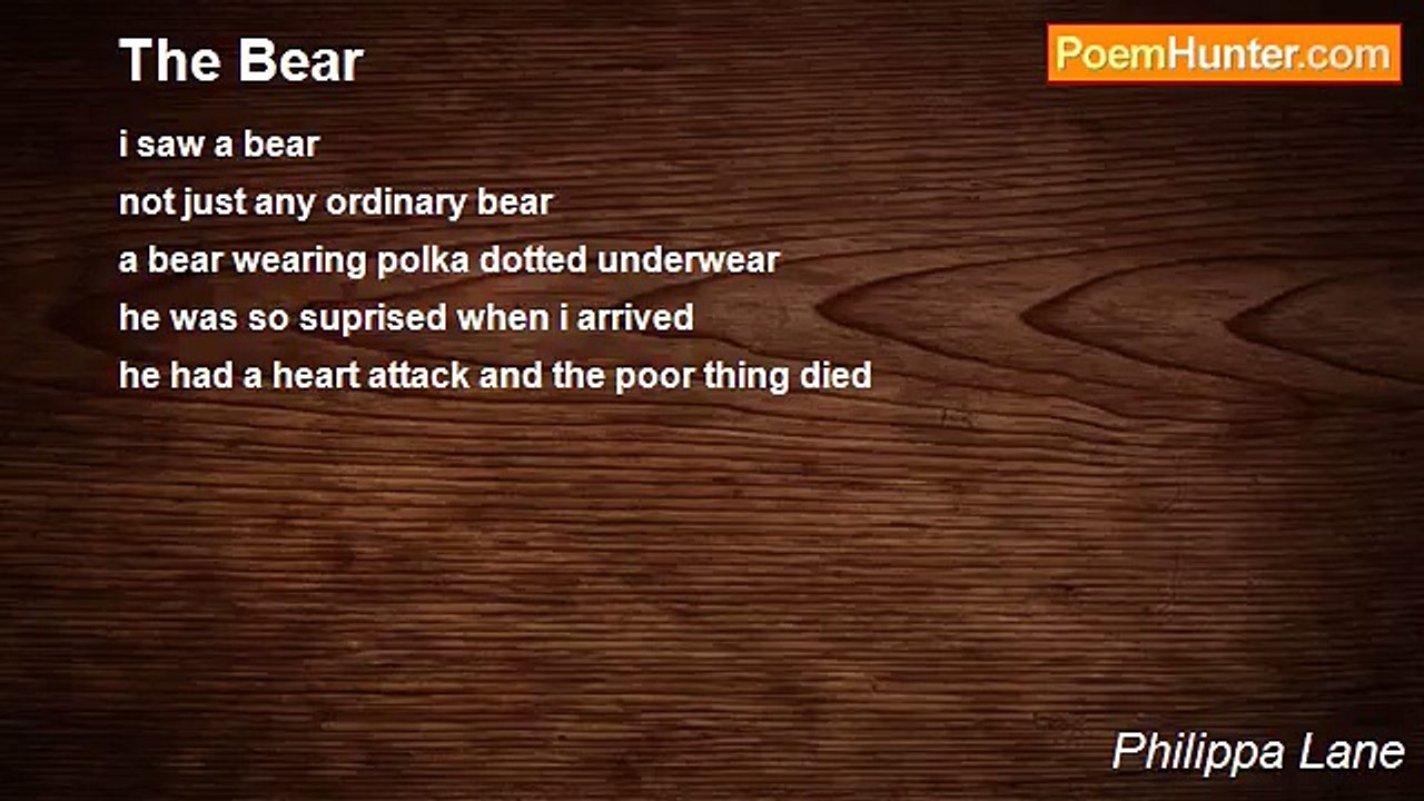 Philippa Lane - The Bear