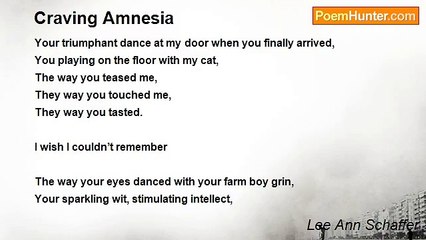 Lee Ann Schaffer - Craving Amnesia