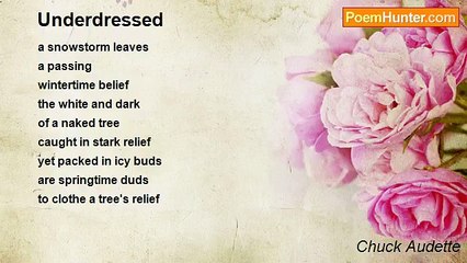 Chuck Audette - Underdressed