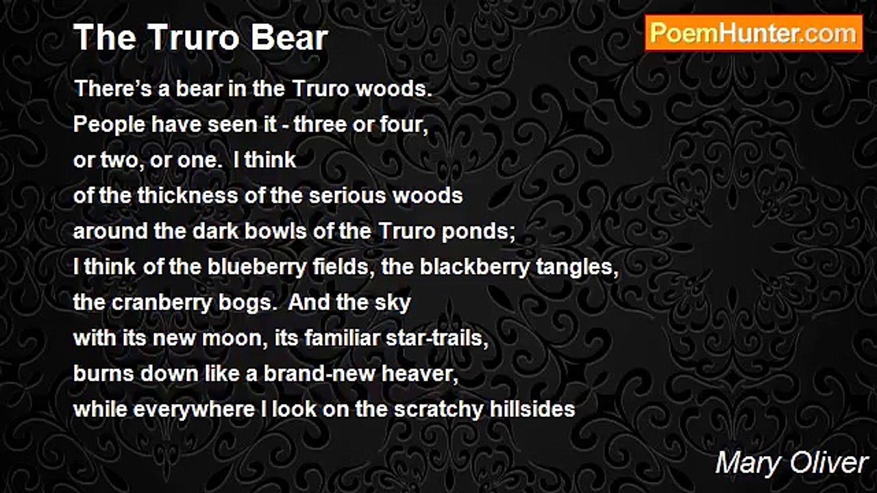 Mary Oliver - The Truro Bear