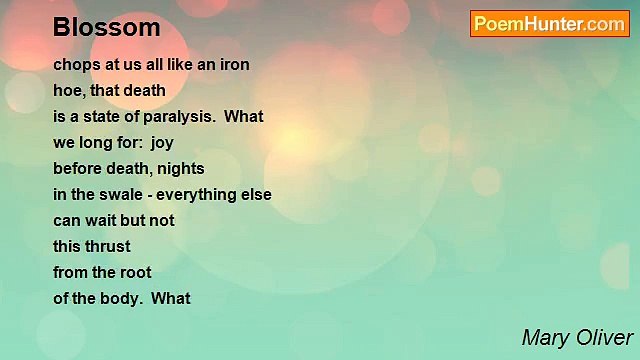 Mary Oliver - Blossom