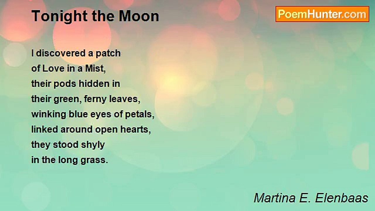 Martina E. Elenbaas - Tonight the Moon