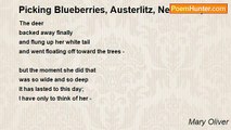 Mary Oliver - Picking Blueberries, Austerlitz, New York,1957