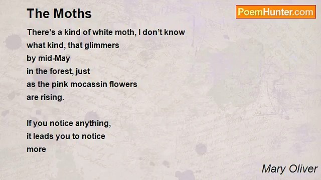 Mary Oliver - The Moths