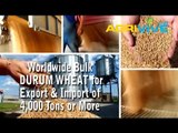 Acquire Bulk Durum Wheat for Importing, Durum Wheat Importers, Durum Wheat Importer, Durum Wheat Imports, Import, Import