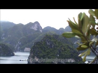 what to do halong bayt