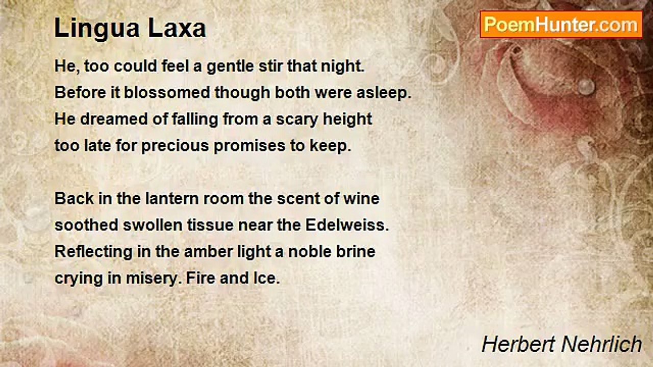 Herbert Nehrlich - Lingua Laxa
