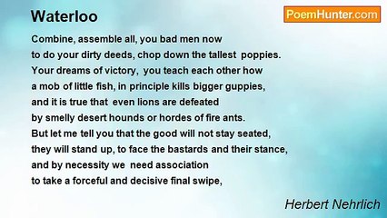 Herbert Nehrlich - Waterloo
