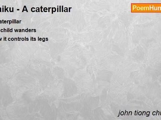 john tiong chunghoo - Haiku - A caterpillar