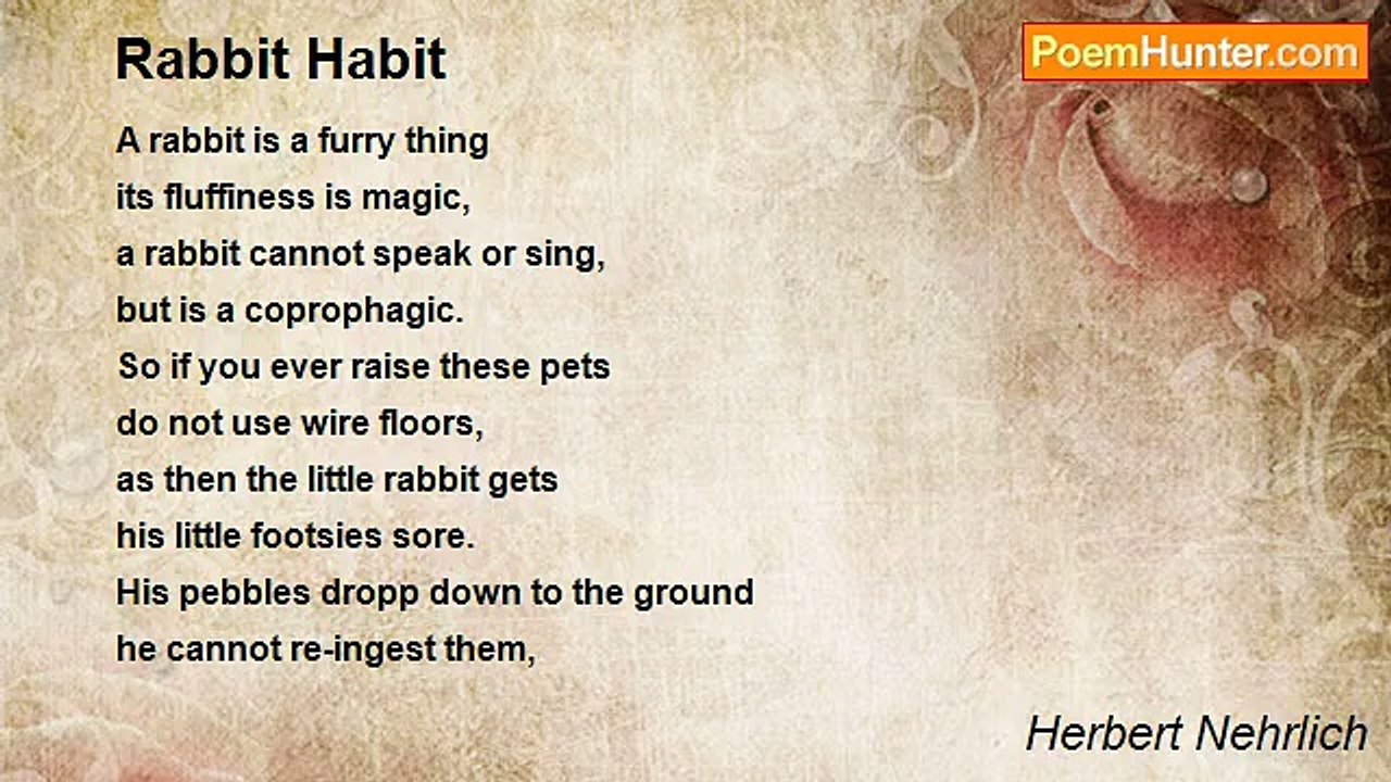 Herbert Nehrlich - Rabbit Habit